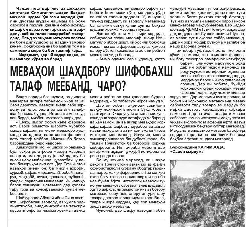 «Меваҳои шаҳдбору шифобахш талаф меёбанд, чаро?»