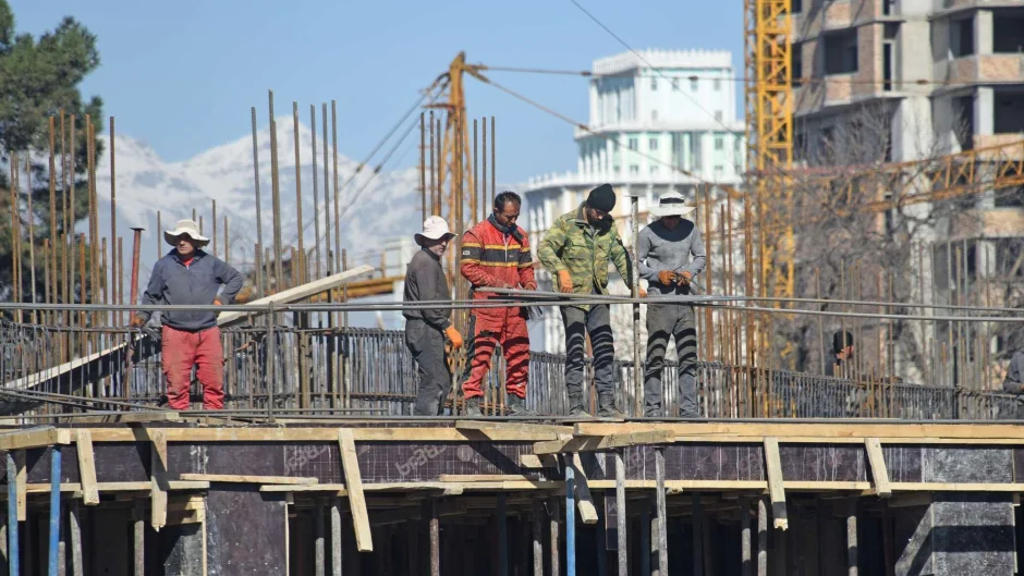 Бинокорон арзандаи эҳтироманд